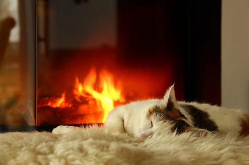 暖炉前で寝る猫