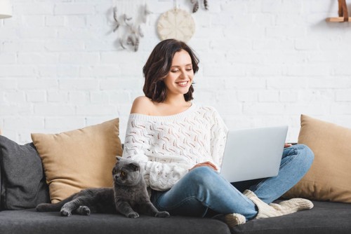 ソファーでパソコンを見る女性のそばで寛ぐ猫