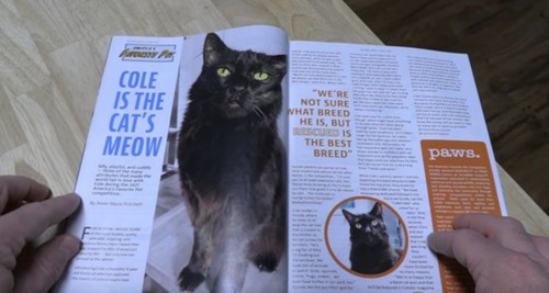 雑誌の中に黒猫