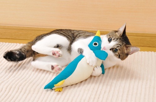 ペンギンのけりぐるみを抱えている猫