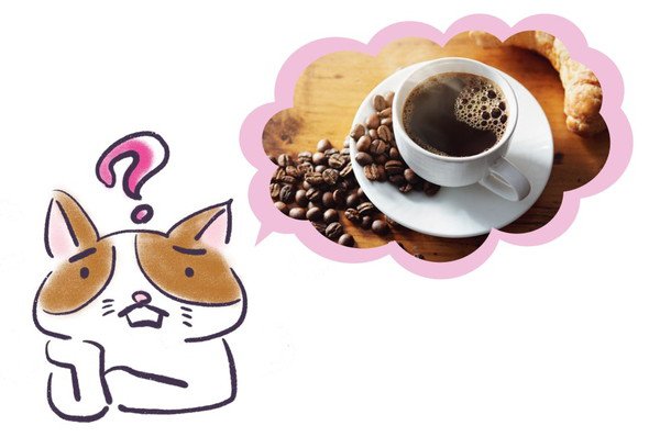 なぜ猫にコーヒーを与えてはいけないのか