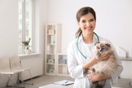 女性獣医師に抱かれる猫