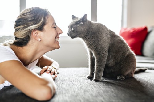 微笑む女性と見つめ合うグレーの猫