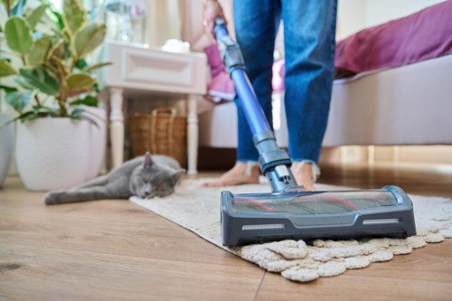 掃除機をかける人と猫
