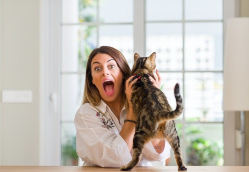 叫ぶ女性と猫
