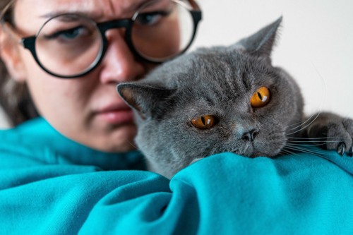 怒り顔の女性と猫