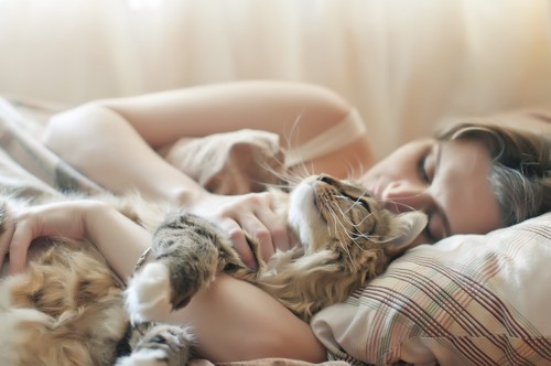 ベッドで一緒に眠る女性と猫