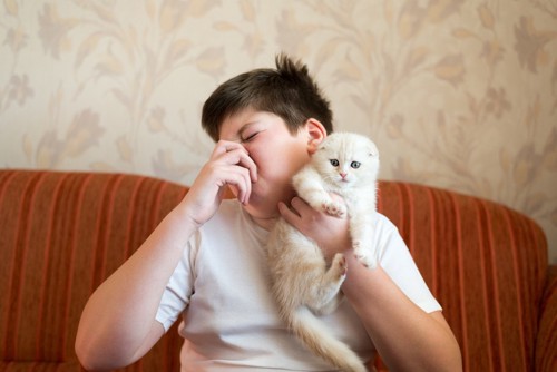 抱っこする猫に顔をしかめる少年