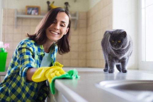 台所を掃除する女性と猫
