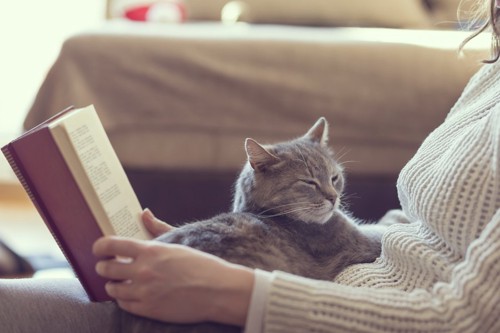 本を読む女性の膝でくつろいでいる猫