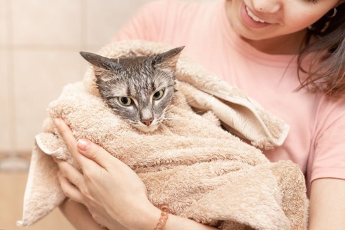 タオルに包まれたまま抱っこされる猫