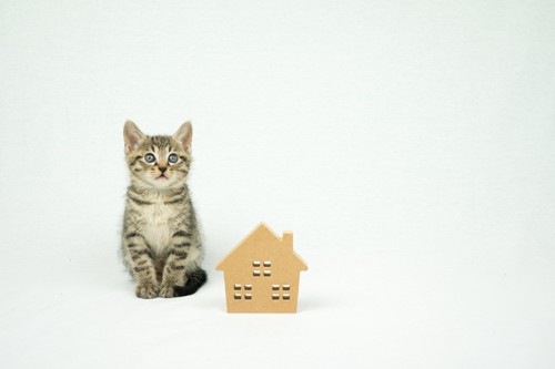 子猫と家の形の置物