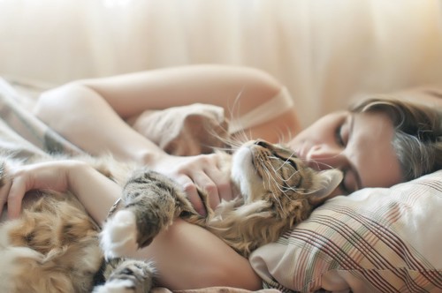 女性と一緒に眠る猫