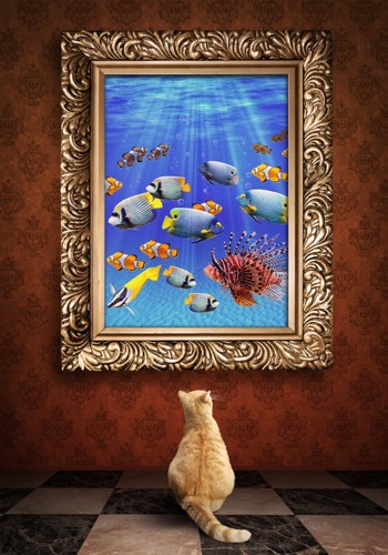 魚の絵を見る猫