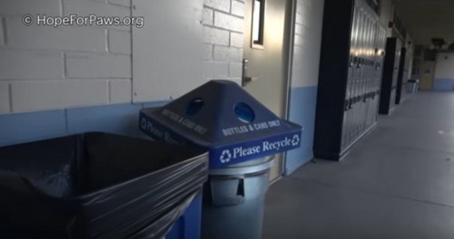 学校の廊下に並ぶゴミ容器