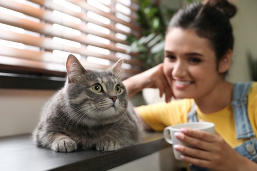 お茶を飲みながら猫を見つめる笑顔の女性