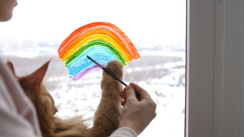 虹を描く猫