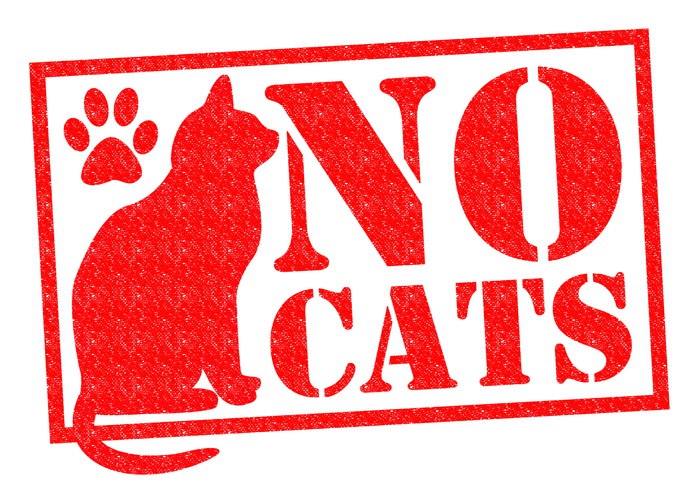 NO CATS