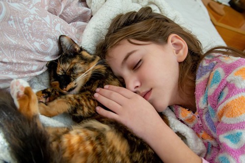枕で眠る猫と少女