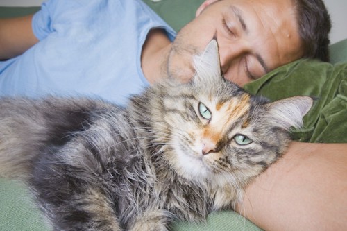 飼い主の腕枕で眠る長毛猫