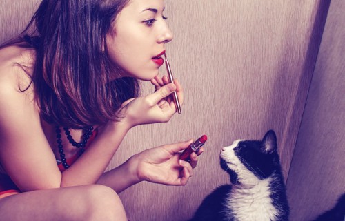 お化粧中の女性に話しかける猫