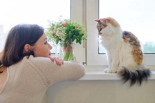 窓際に座る猫を見る女性