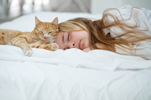 少女と一緒に寝る猫