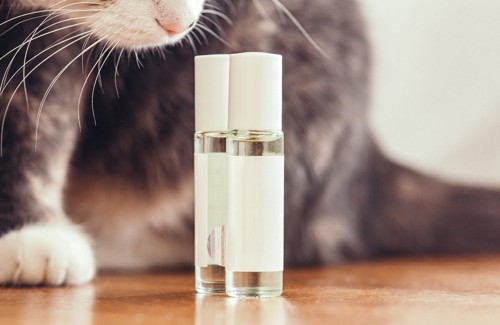 アロマオイルの瓶と猫