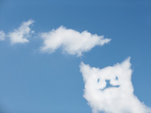 猫の形をした雲