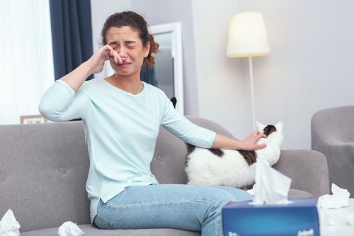 猫を撫でながら鼻をかむアレルギーの女性