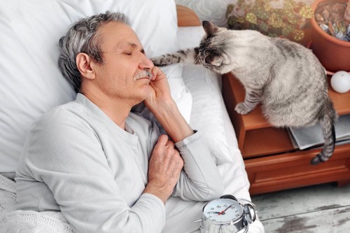 寝ている男性の顔に手を伸ばす猫