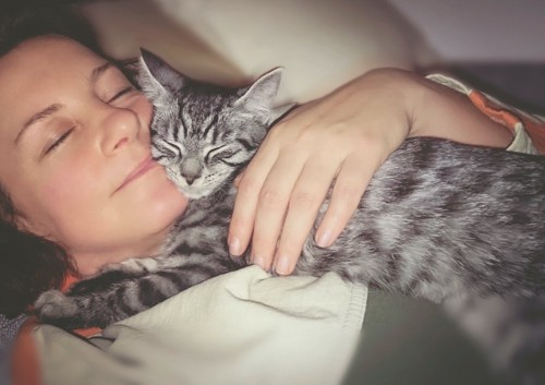 女性の顔に寄り添って一緒に眠る猫
