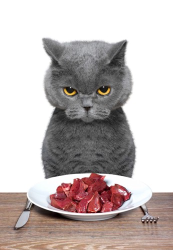 お肉のお皿と猫