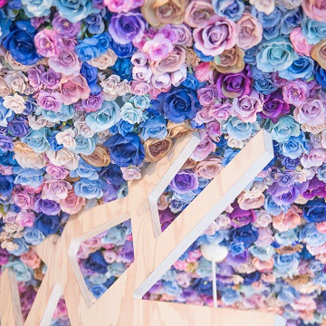 紫のお花の天井