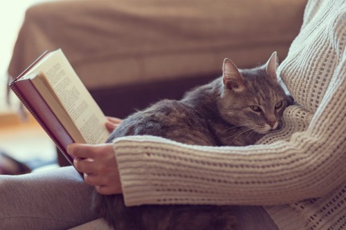 読書中の女性の上で眠る猫