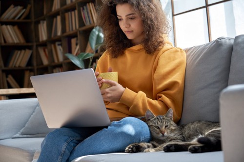 パソコンをする女性の膝上で寝る猫