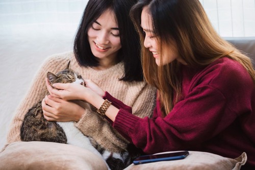 猫を可愛がるアジア系のふたりの女性