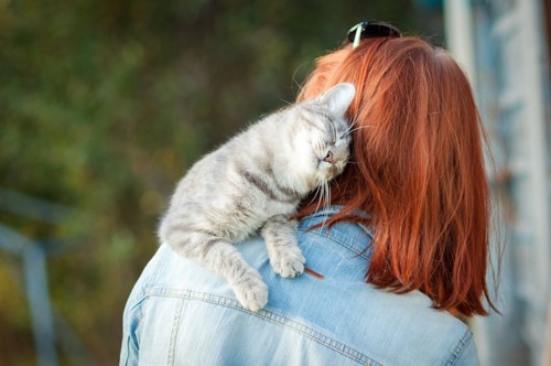 女性に抱かれて甘える猫