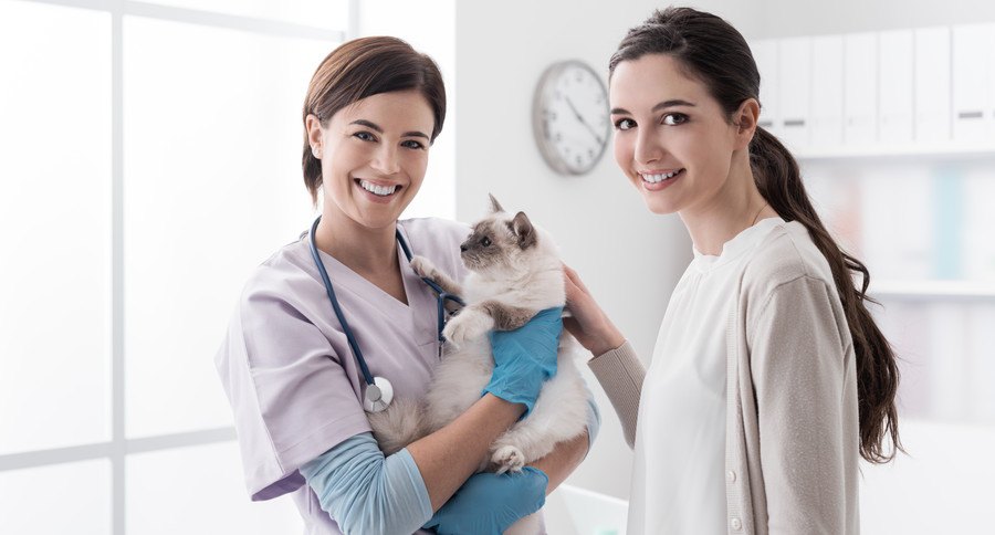 女性獣医師と女性