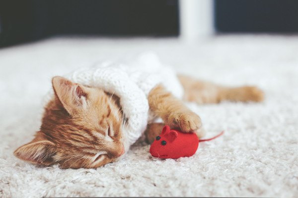ネズミのおもちゃと眠る子猫