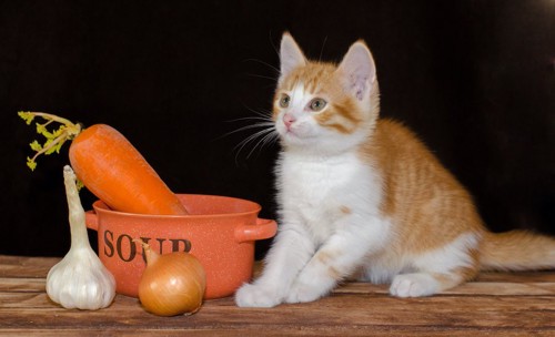 SOUPと書かれた鍋と野菜と子猫