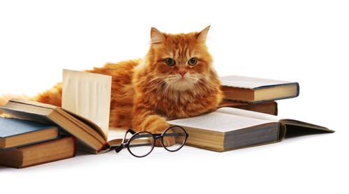 本と眼鏡と猫