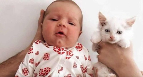 人間の赤ちゃんと子猫