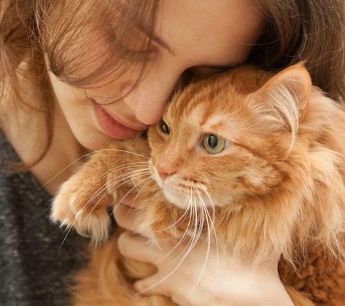 猫を抱きしめる女性の写真