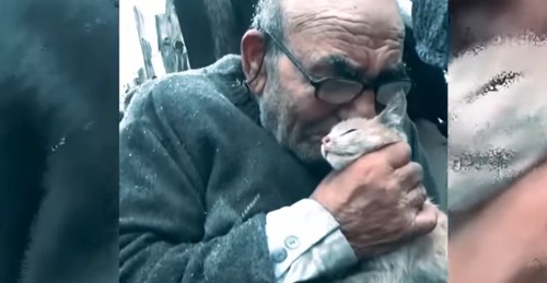 子猫を抱きしめる高齢の男性