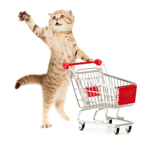 ショッピングカートを押す猫