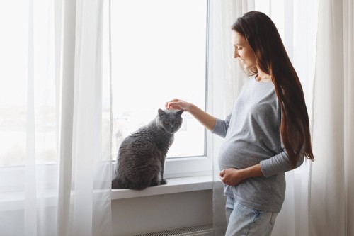 窓辺の妊婦と猫