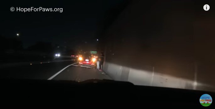 高速道路で緊急停止する車