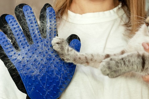 青いラバーブラシと猫の前肢