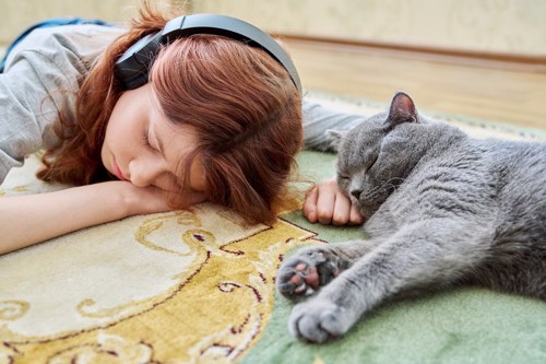 床で眠る少女とグレーの猫
